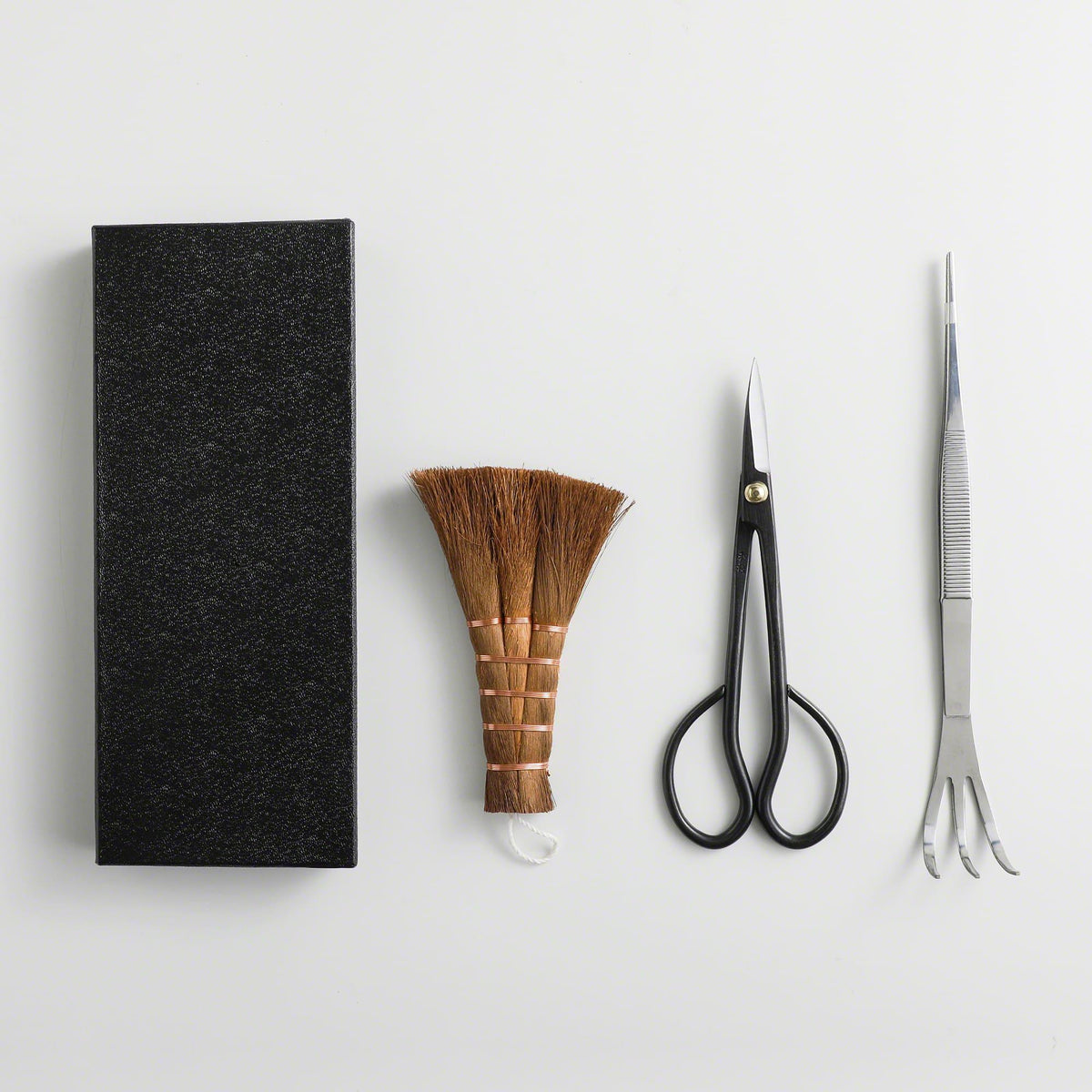 Pro Bonsai starter kit