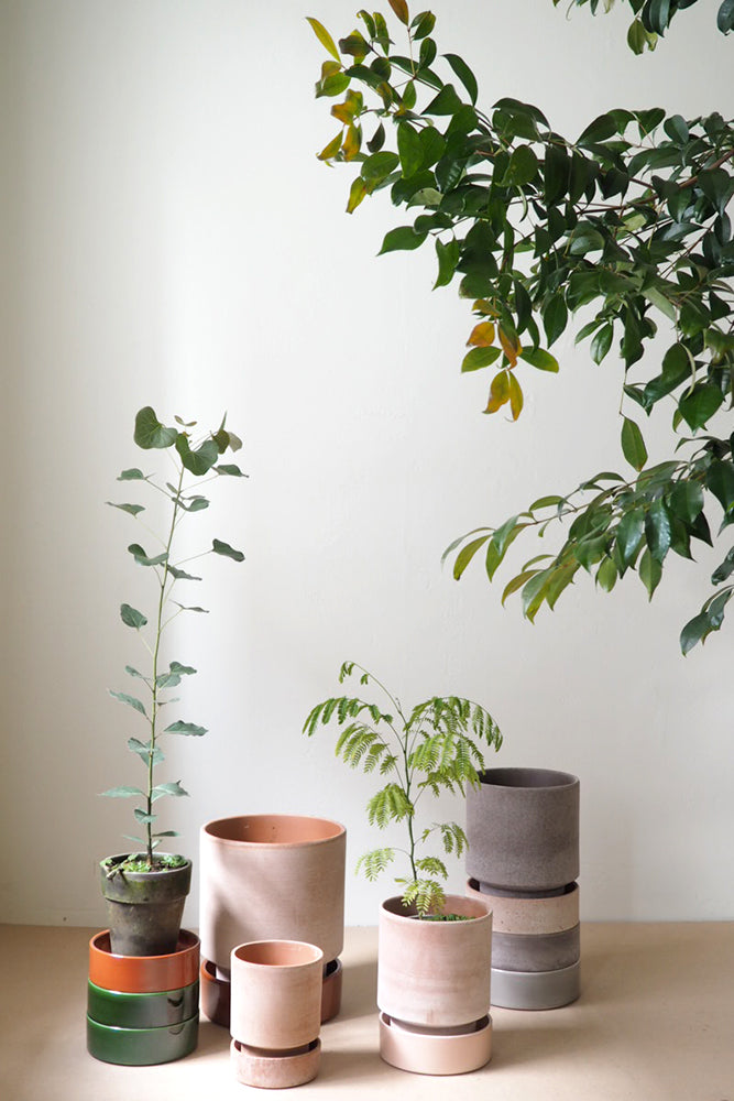 Hoff krukke, raw rosa + grøn underskål