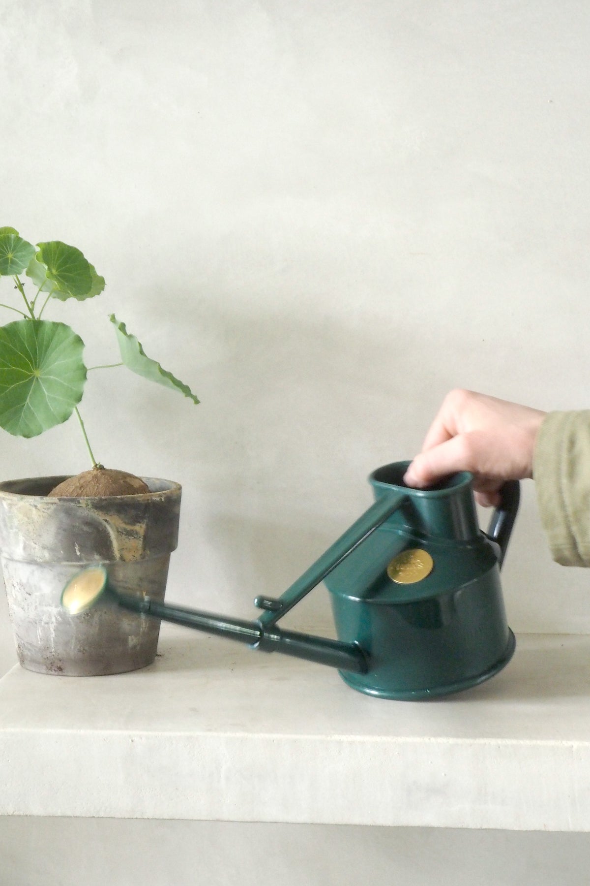 HAWS Vandkande, The Langley Sprinkler, grøn