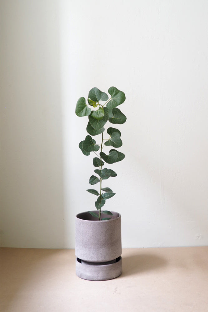 Hoff krukke, raw grey + raw grey underskål, gulvkrukke