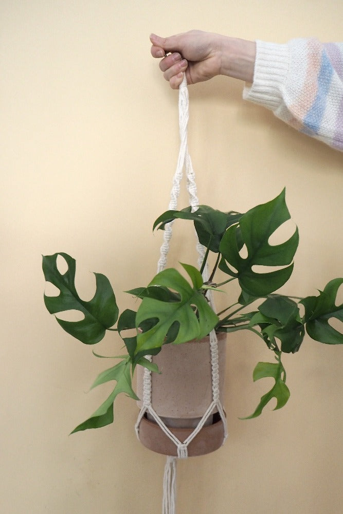 Macramé planteophæng