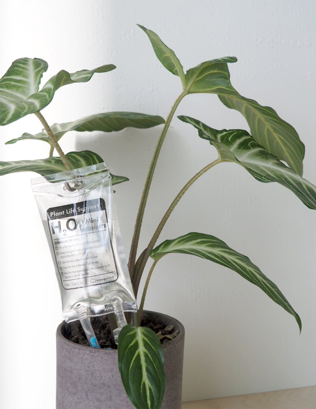 Selvvandende Plant Life support, lille