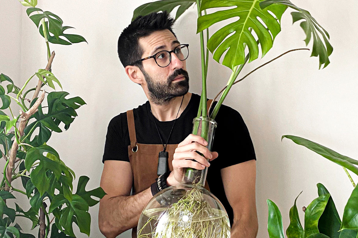Mød keramikeren og planteentusiasten Adam Cotorceanu fra Dirty Roots