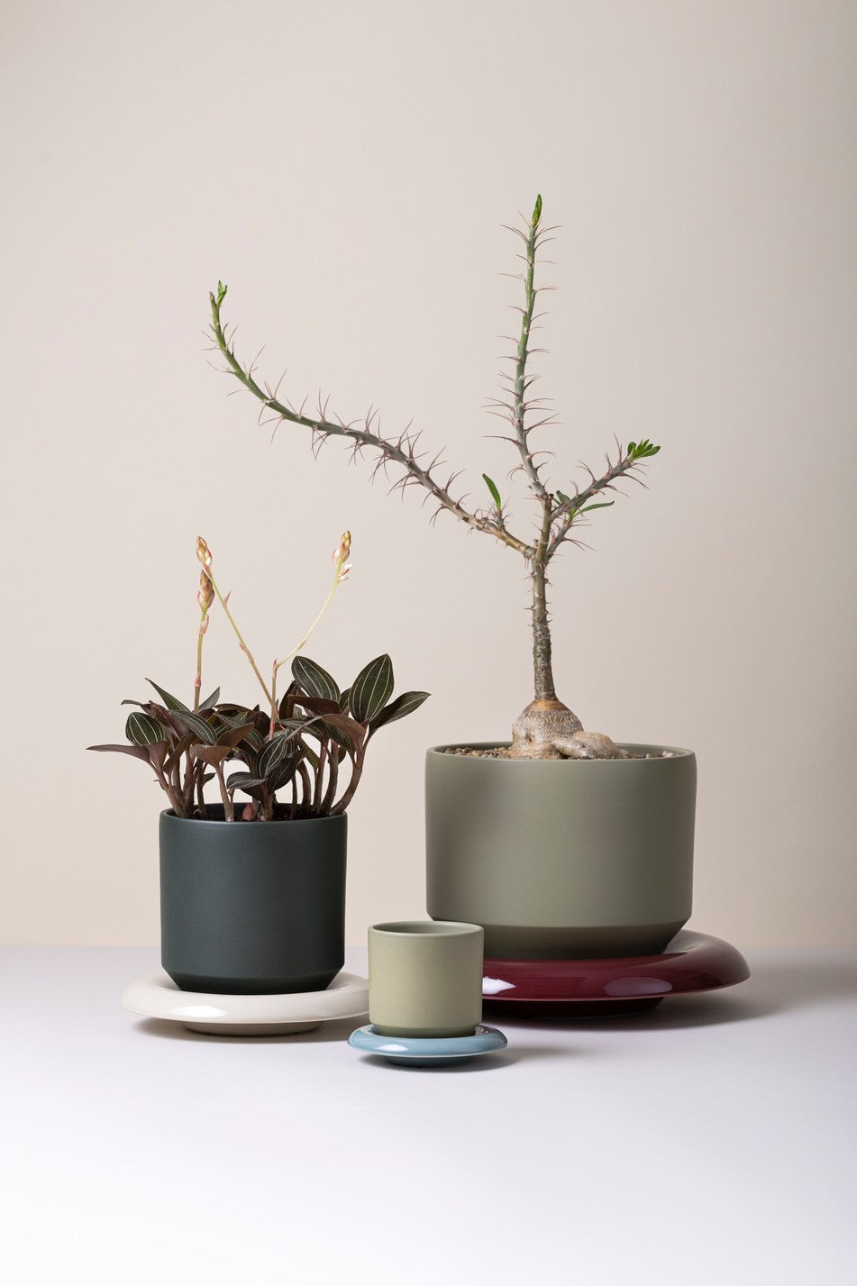 Lily krukke, sage green