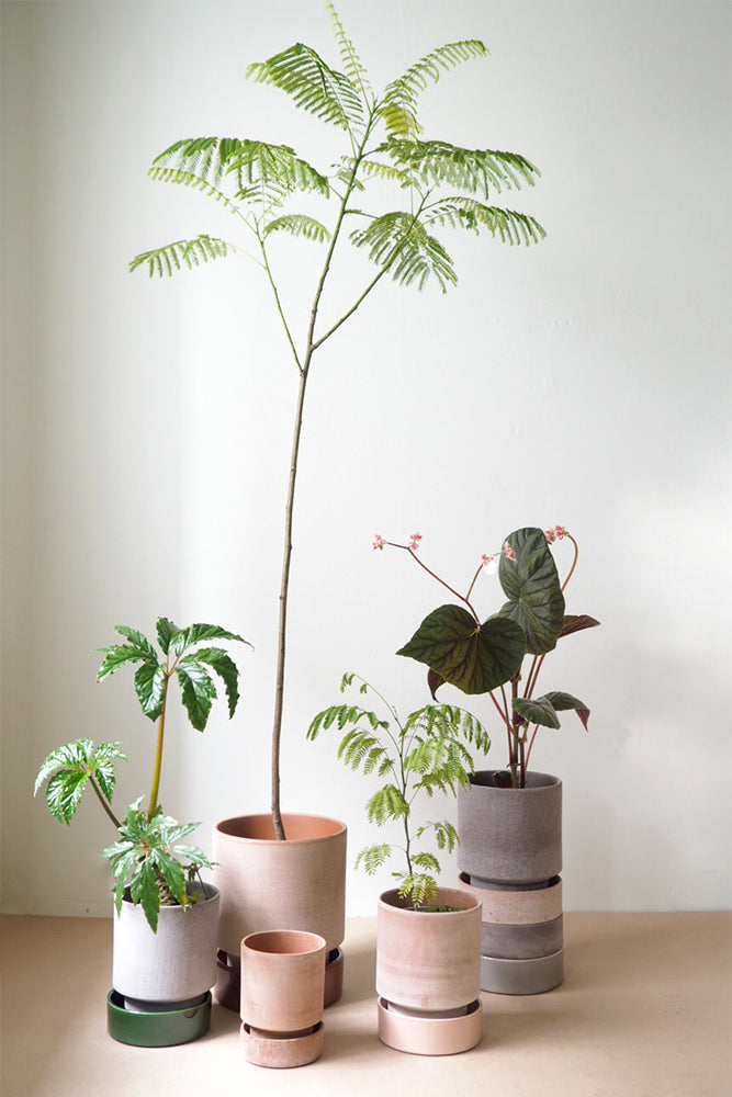 Hoff krukke, raw grey + raw rosa underskål, gulvkrukke