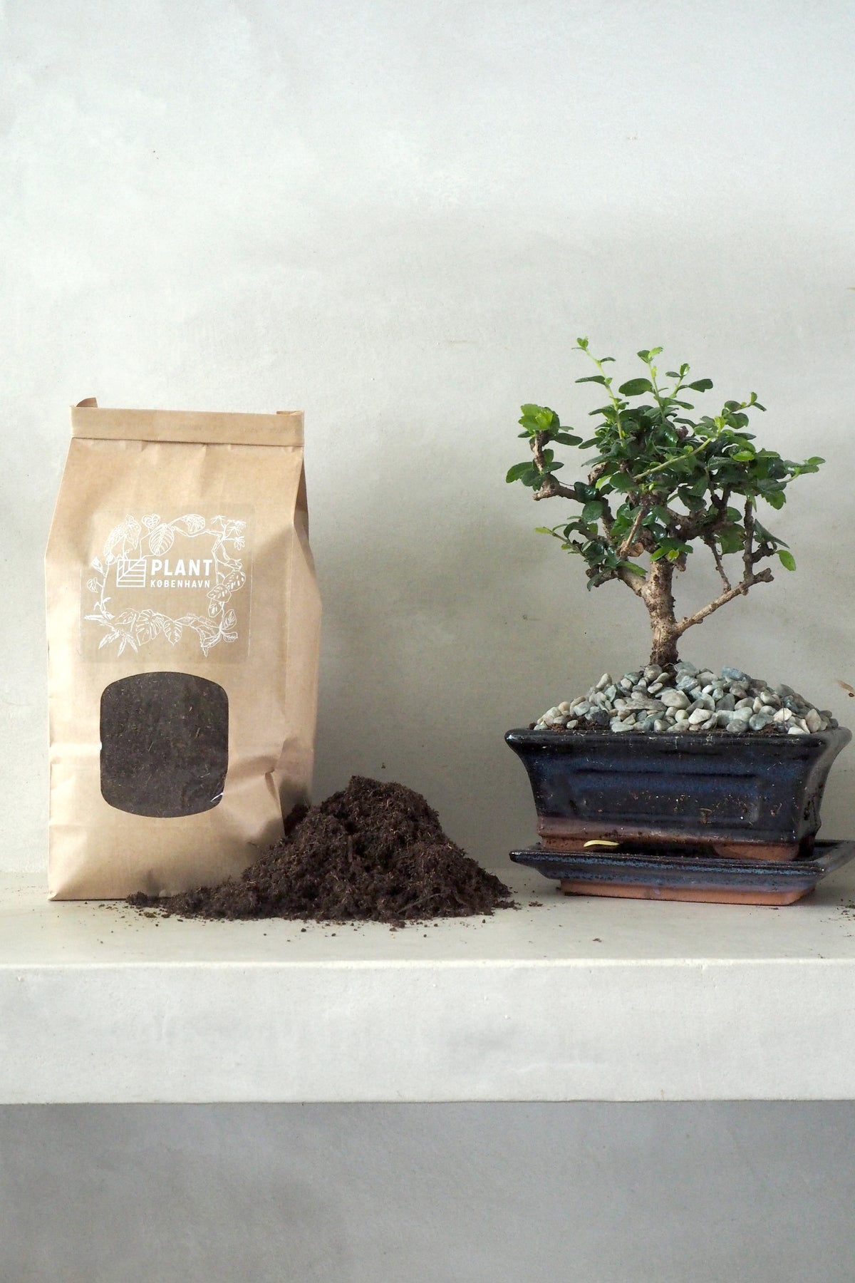 Bonsai jord