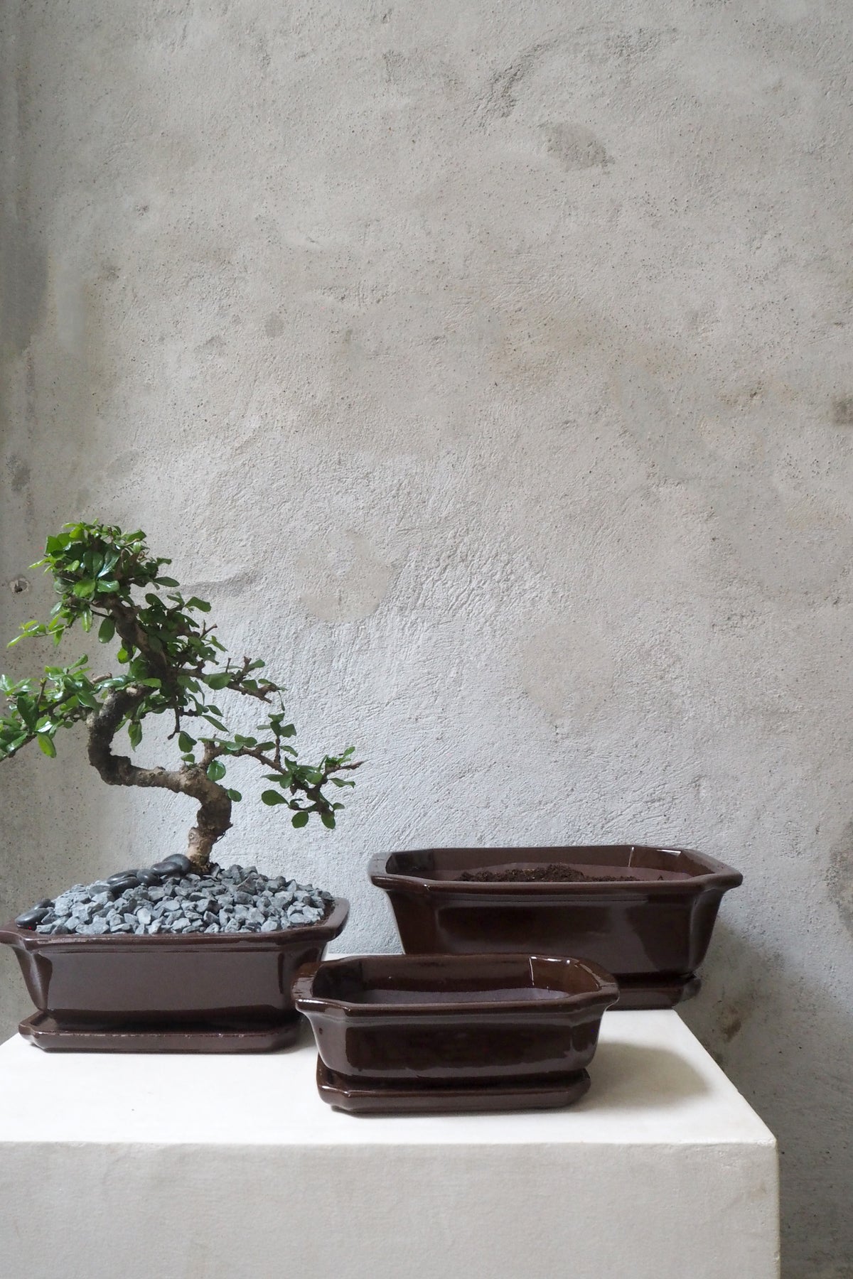 Bonsai krukke