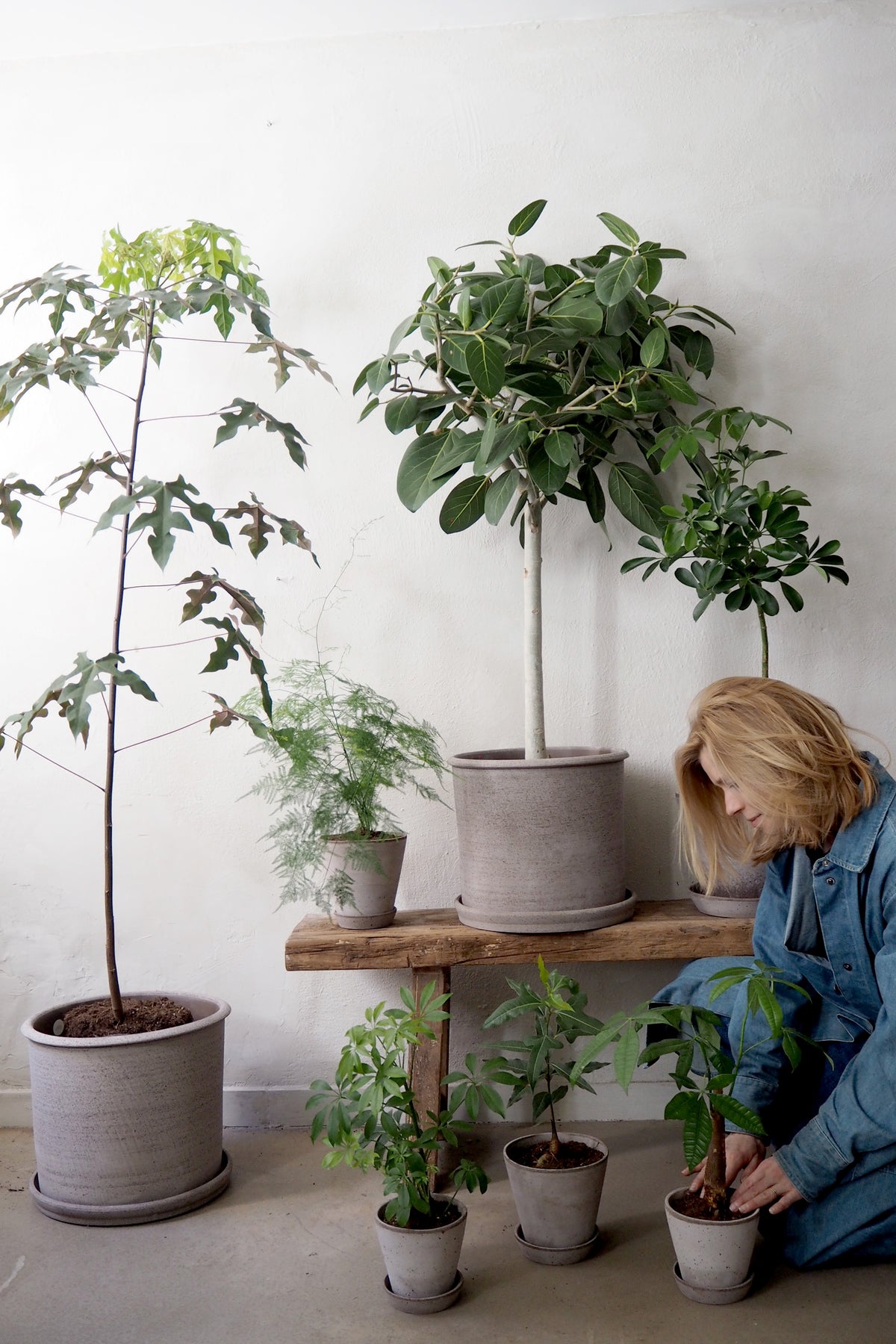 Gartnerens plantepakke - Raw Grey