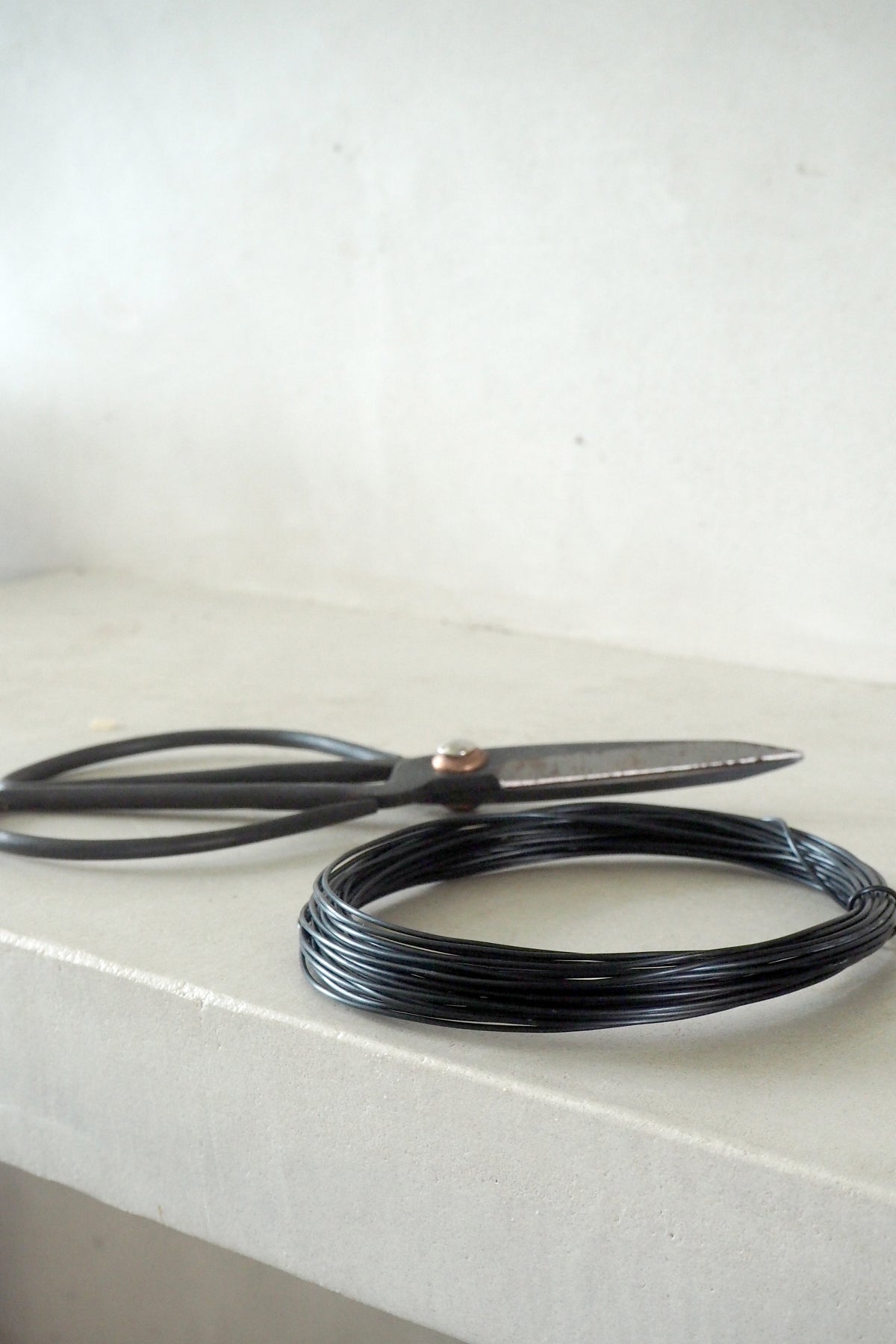 Bonsai Wire, Sort