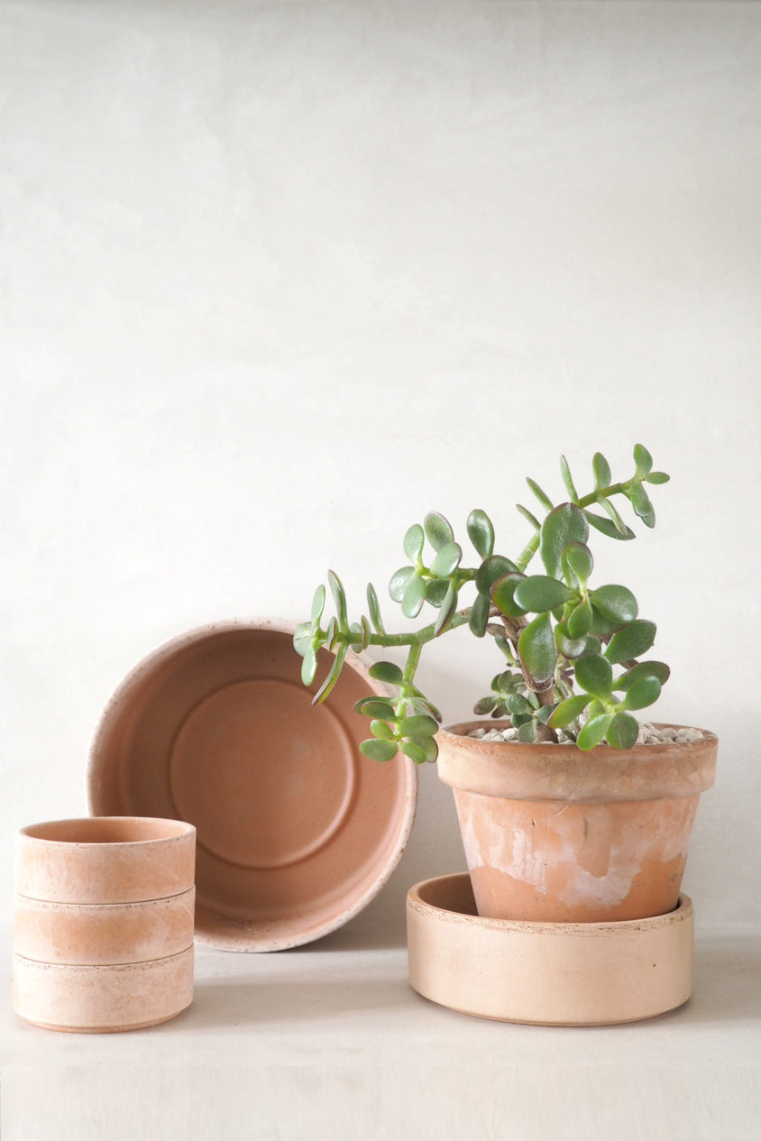 Hoff underskål, raw rosa