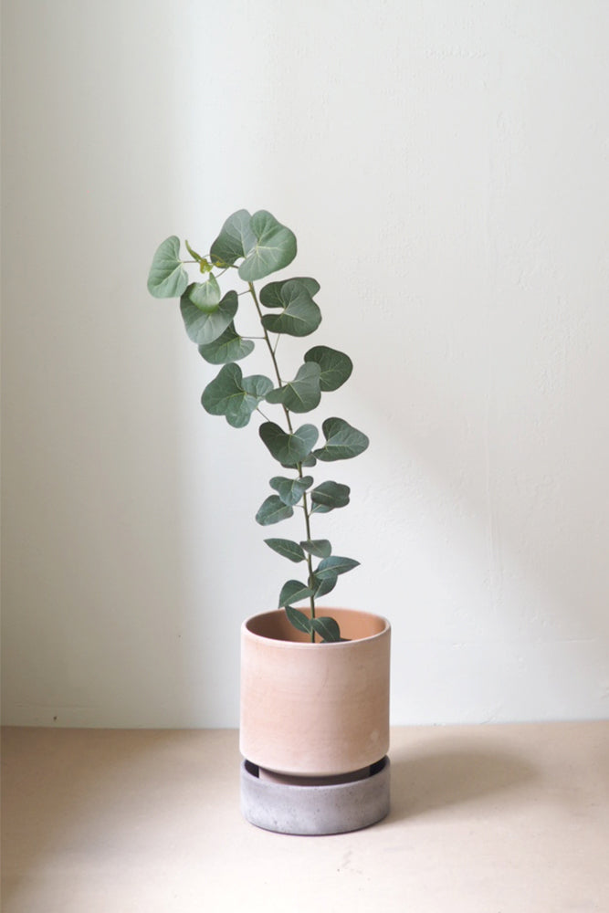 Hoff krukke, raw rosa + raw grey underskål