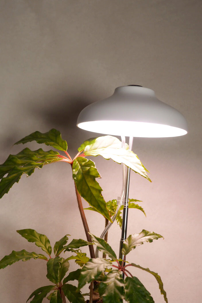 Vækstlampe, LED