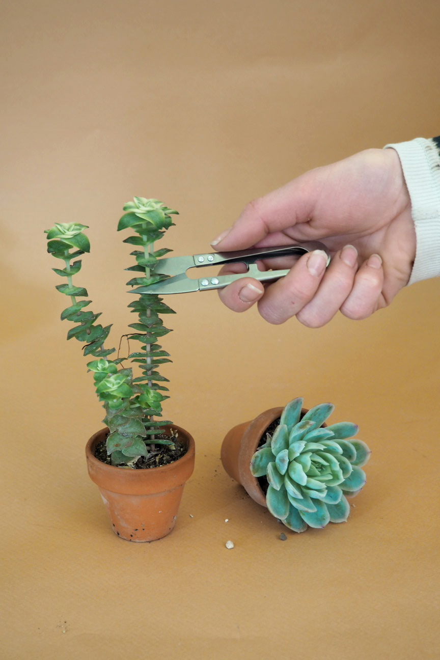 Mini beskærersaks